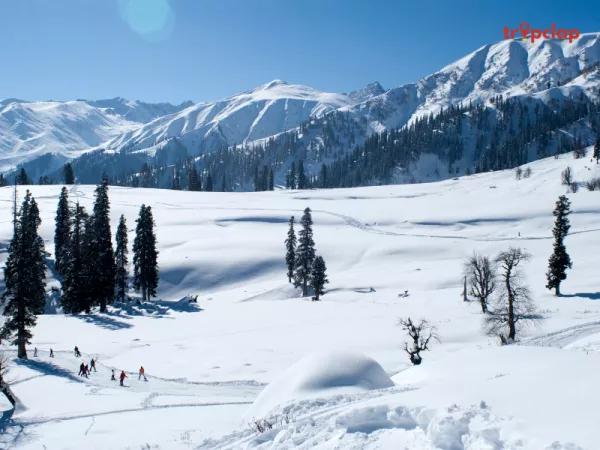 2. Gulmarg - The Meadow of Flowers