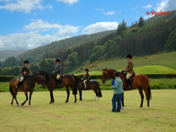  3. Pahalgam - The Valley of Shepherds