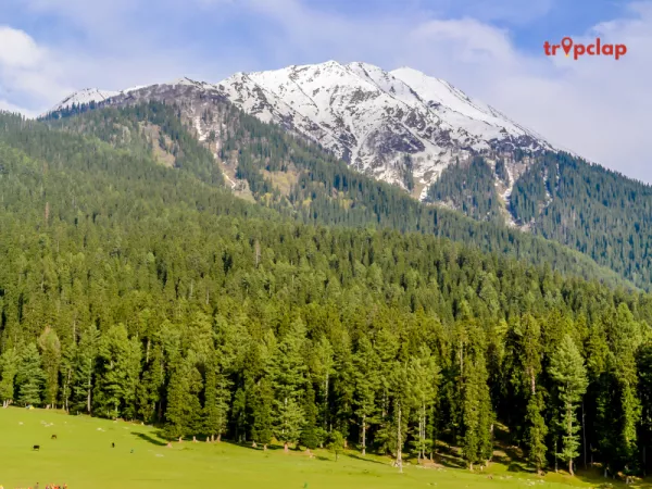 4. Yusmarg - The Hidden Gem