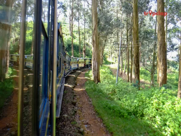 1. Embark on a Scenic Ride on the Nilgiri Mountain Railway