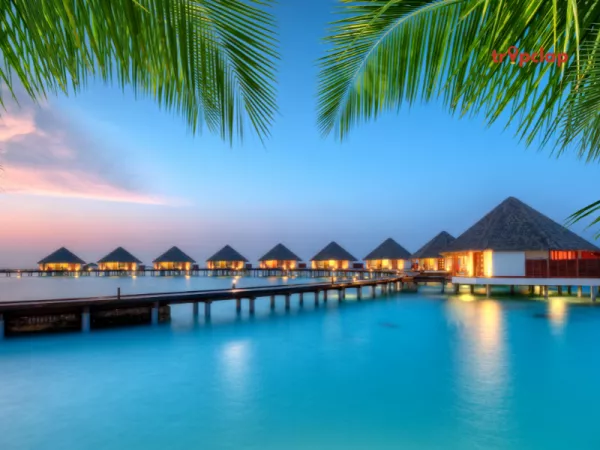 7. Maldives