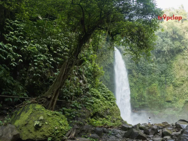 4. Patalpani Waterfalls