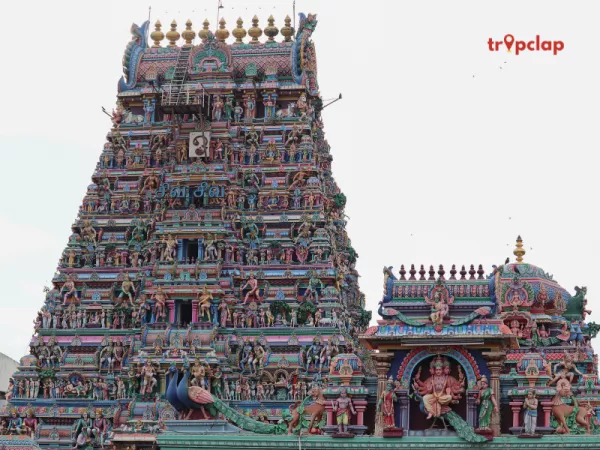 Kapaleeshwarar Temple