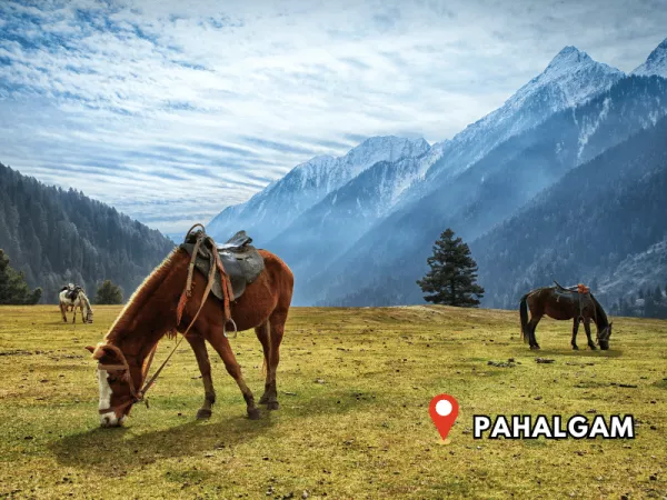 1.8 Pahalgam