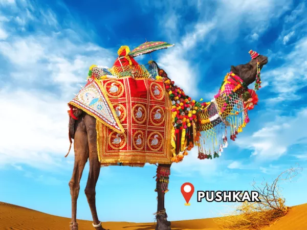 1.15. Pushkar