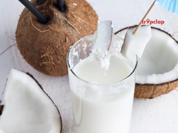 Kallu - Andhra Pradesh's Palm Toddy