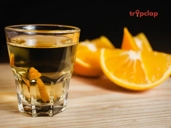 Uraak - Karnataka's Young Spirit