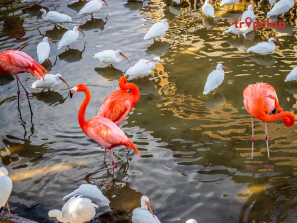 1. SeaWorld Orlando, USA