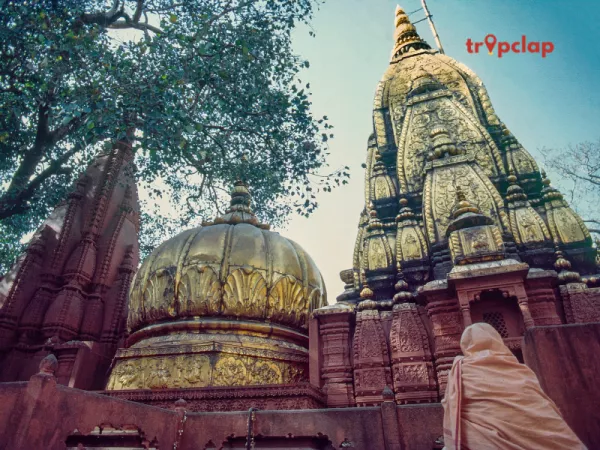7. Kashi Vishwanath Temple, Uttar Pradesh: 