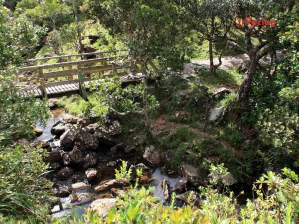 4.Black River Gorges National Park