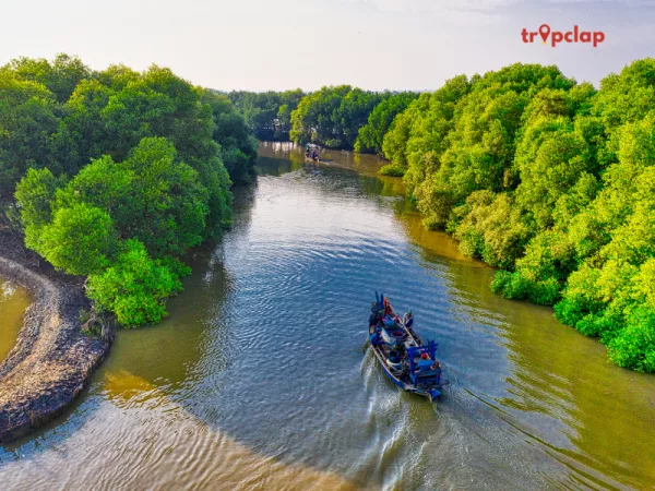 Pichavaram Mangrove Forest, Tamil Nadu