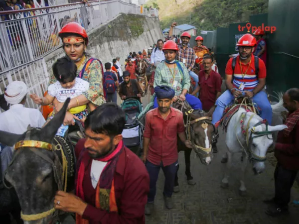 Ponies and Palanquins