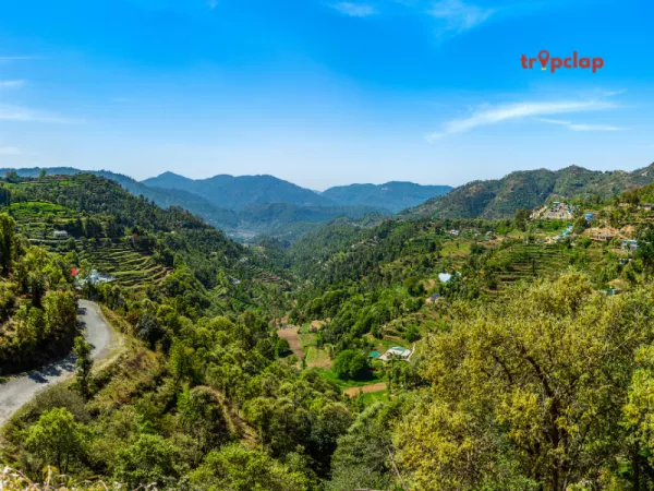 7. Lansdowne, Uttarakhand (Distance: 250 km from Delhi)
