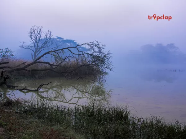 14. Sultanpur Bird Sanctuary, Madhya Pradesh