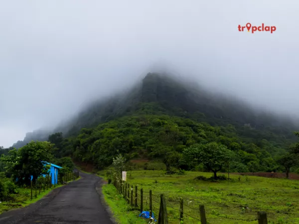 1. Lonavala: The Jewel of the Sahyadri Mountains
