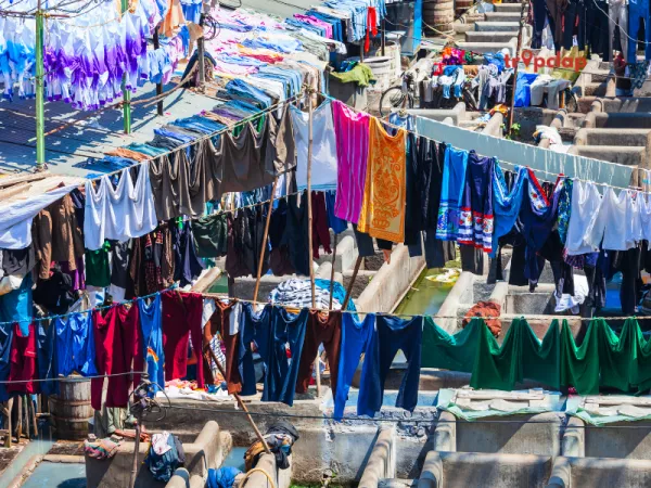 Visit the Dhobi Ghat