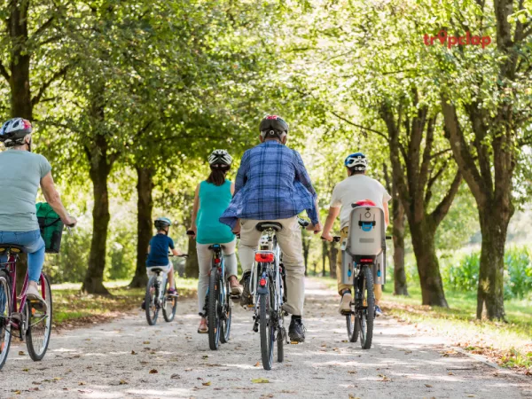 Midnight Bicycle Tour of South Mumbai