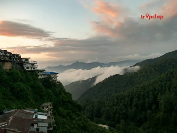  8. Dehradun, Uttarakhand (Distance: 280km from Delhi)