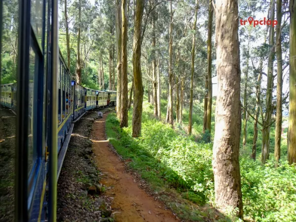 4.Nilgiri Mountain Railway