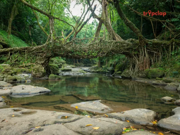 1.Mawlynnong, Meghalaya