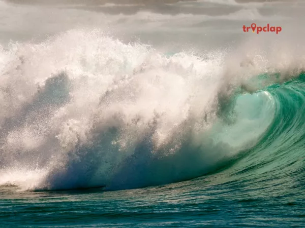 Electromagnetic Anomalies