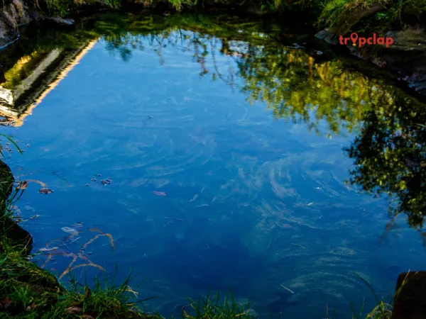 7. Adasa Ganpati Temple Waterfall
