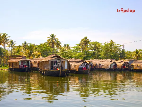 2. Alleppey (Alappuzha)