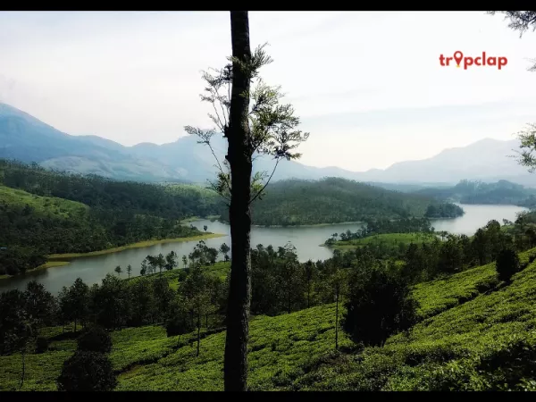 4. Thekkady