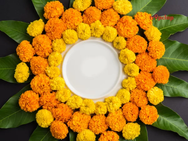 9. Onam:
