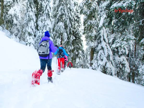 Winter in Doodhpathri