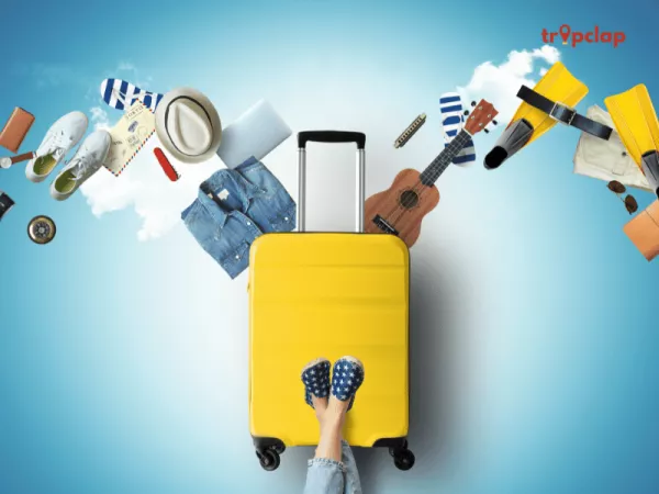 2. Clothing and Accessories: