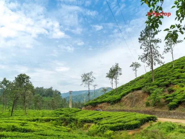 2. North Kerala: Wayanad, Bekal, and Silent Valley