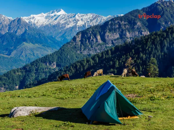 5. Gurez Valley, Jammu and Kashmir