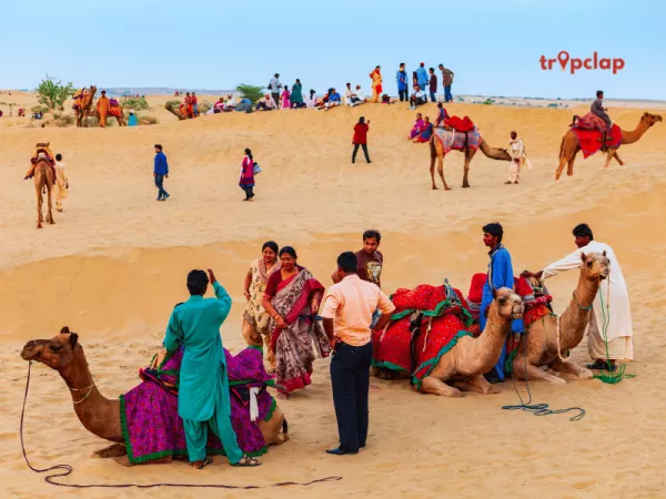 9. Horse and Camel Rides