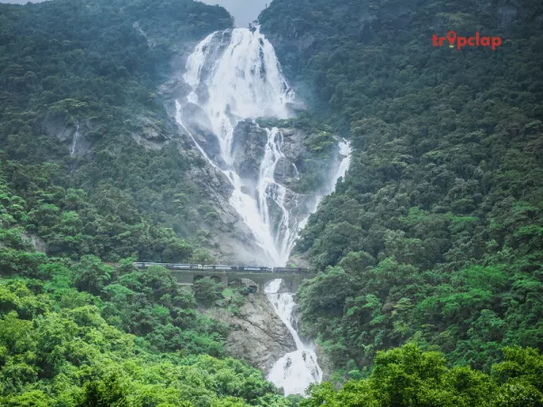 4. Dudhsagar Waterfalls