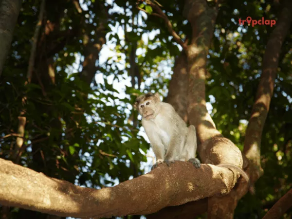 6. Wildlife Sanctuaries