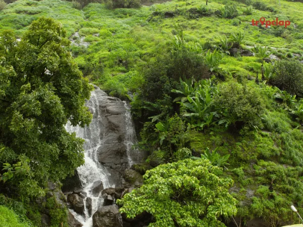 6. Ryewood Park and Shivaji Udyan