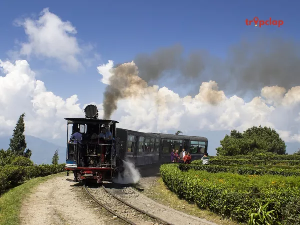 Darjeeling Himalayan Railway (Toy Train)