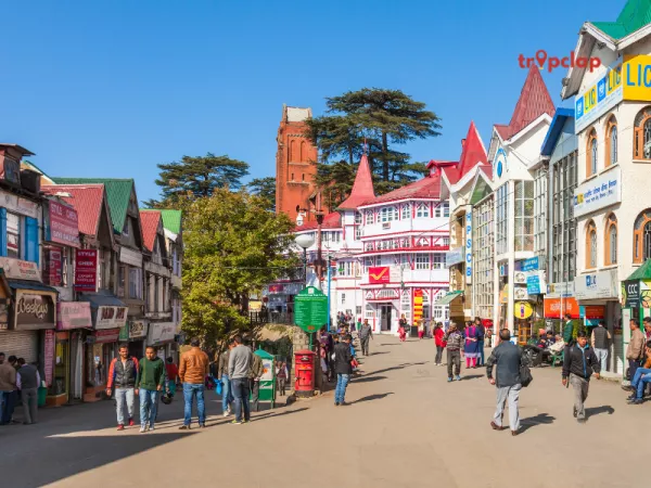 Explore Darjeeling Mall Road: