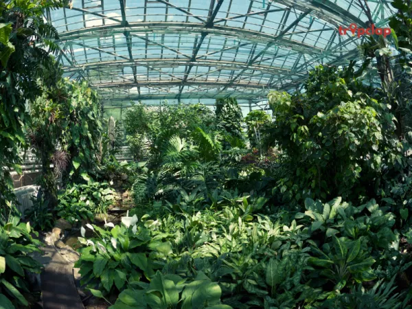 Lalbagh Botanical Garden