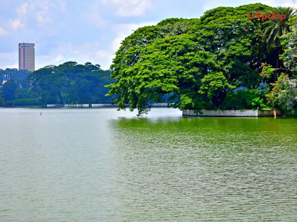 Ulsoor Lake:
