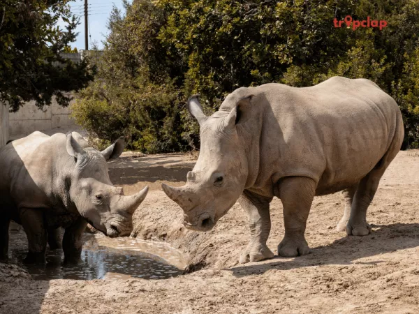 Assam State Zoo and Botanical Garden