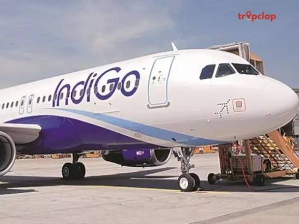IndiGo