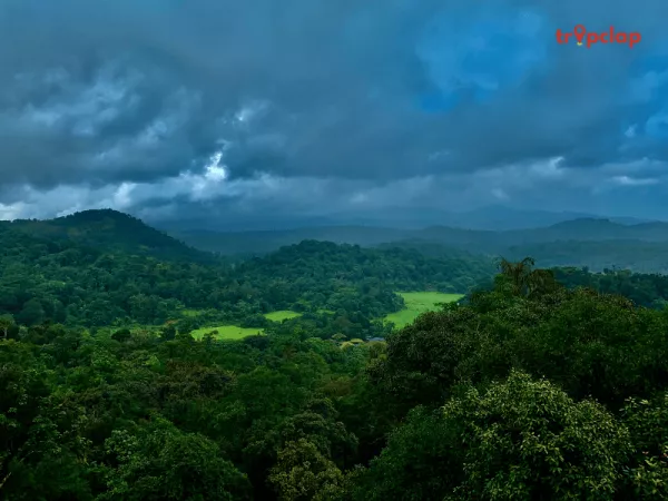  Visit Coffee Plantations 