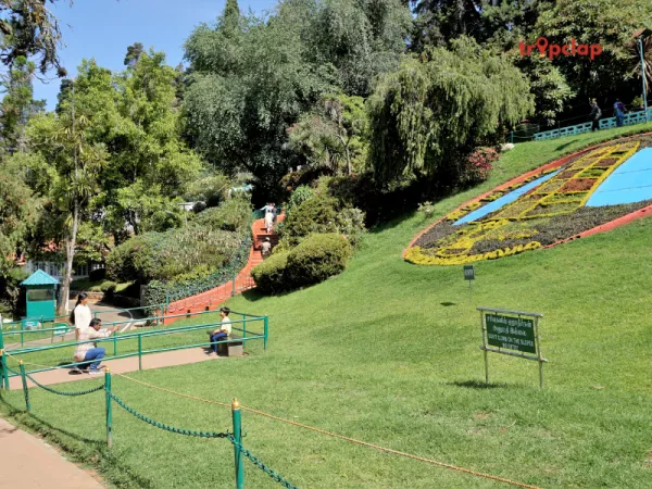 Ooty Botanical Gardens: