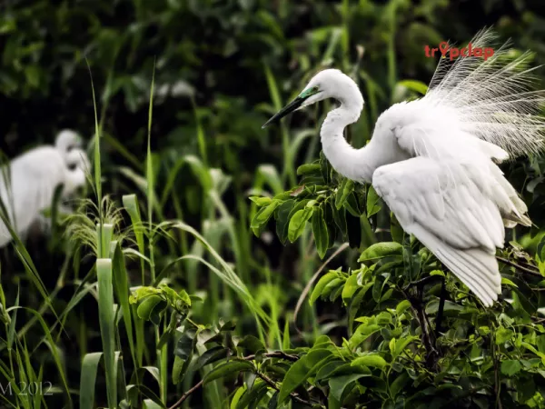 Chamundi Wildlife Sanctuary