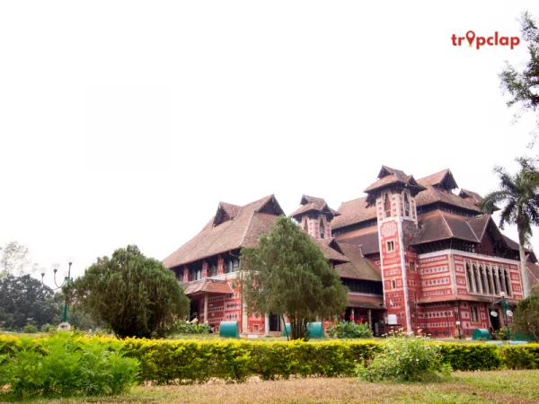  Napier Museum and Art Gallery