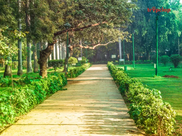 Waste to Wonder Park (Delhi)