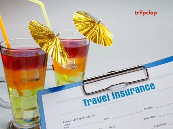 What is a travel insurance? 