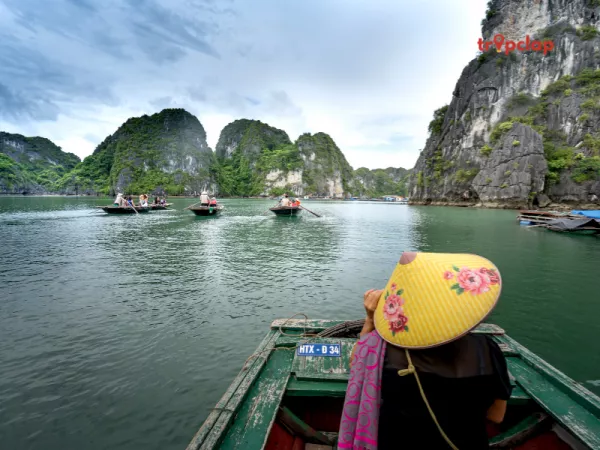 Vietnam - Travel Insurance